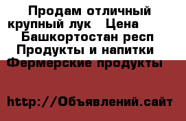 Продам отличный крупный лук › Цена ­ 35 - Башкортостан респ. Продукты и напитки » Фермерские продукты   